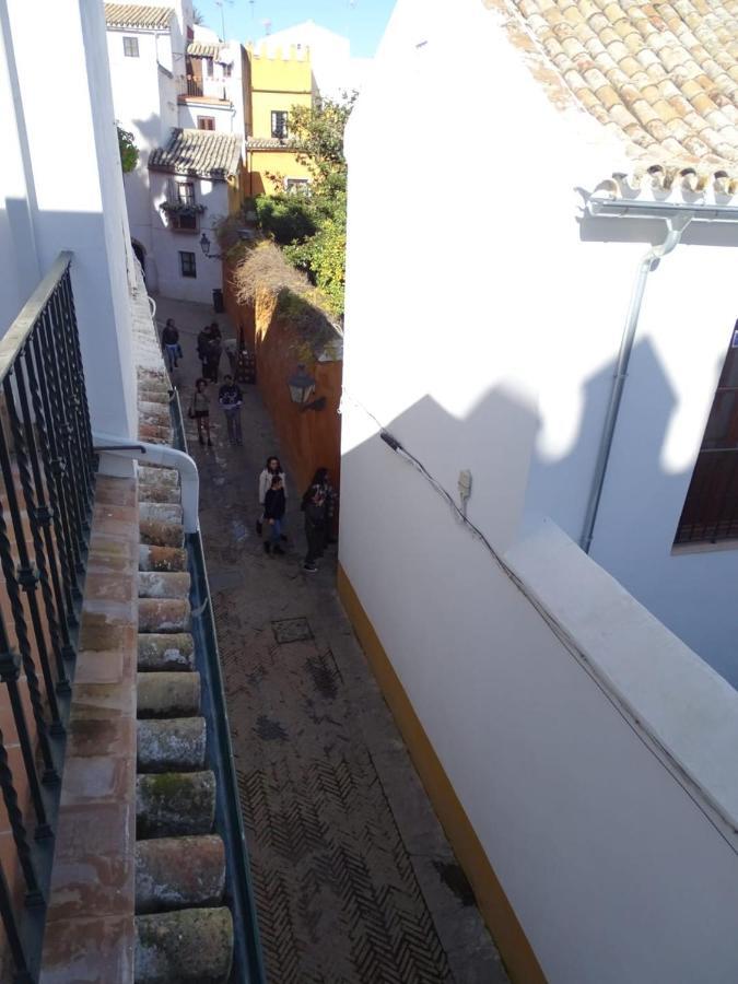 The Wall Of The Alcazar Palace Sevilla Bagian luar foto